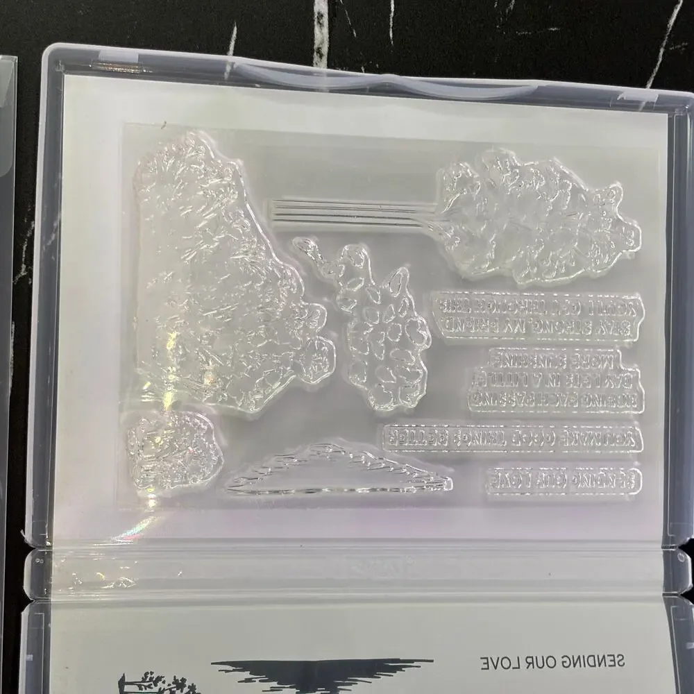 Stampin Up Delicate Forest Stamp Set & Coordinating Dies Bundle Lot